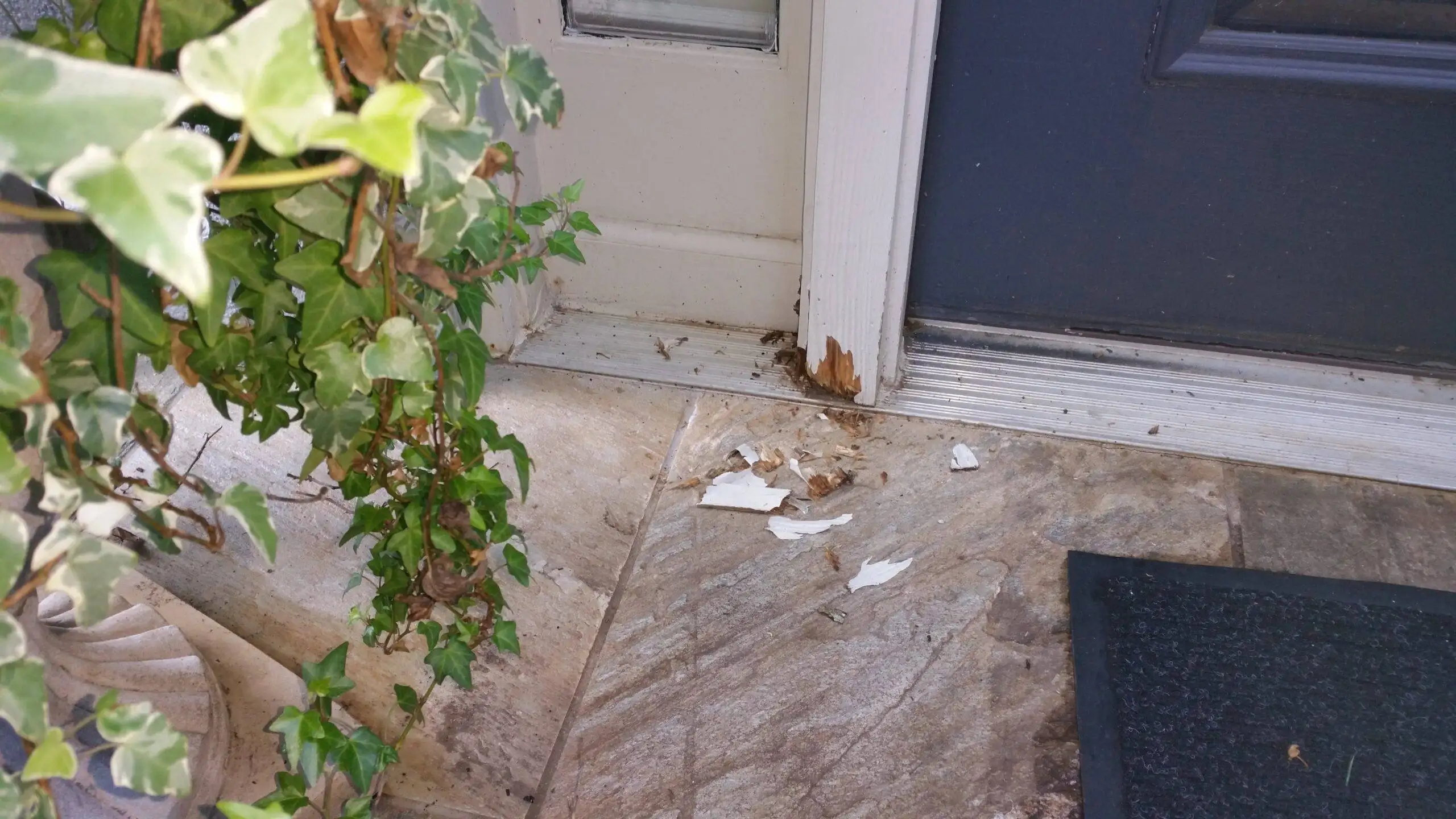 👉 Rotten Wood Wood Rot Repair in Charlotte South Charlotte Services scaled Structural wood rot repair Charlotte NC by South Charlotte Services